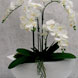 Piantina artificiale con fiori bianchi